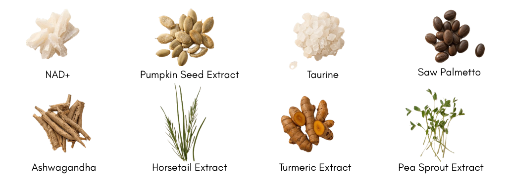 Xtresse Bioactive Ingredients